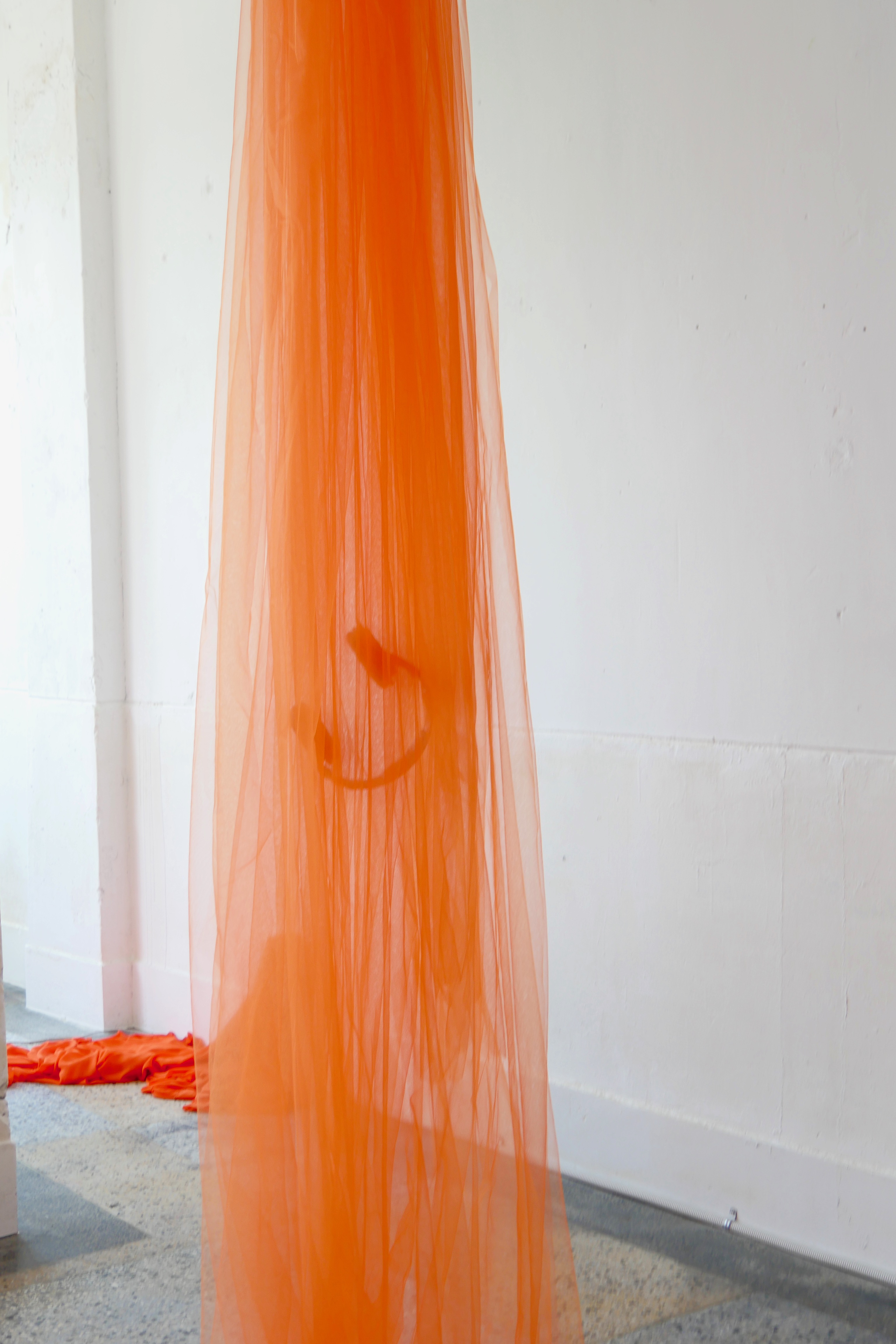 leesima Solo Exhibition: the orange revile